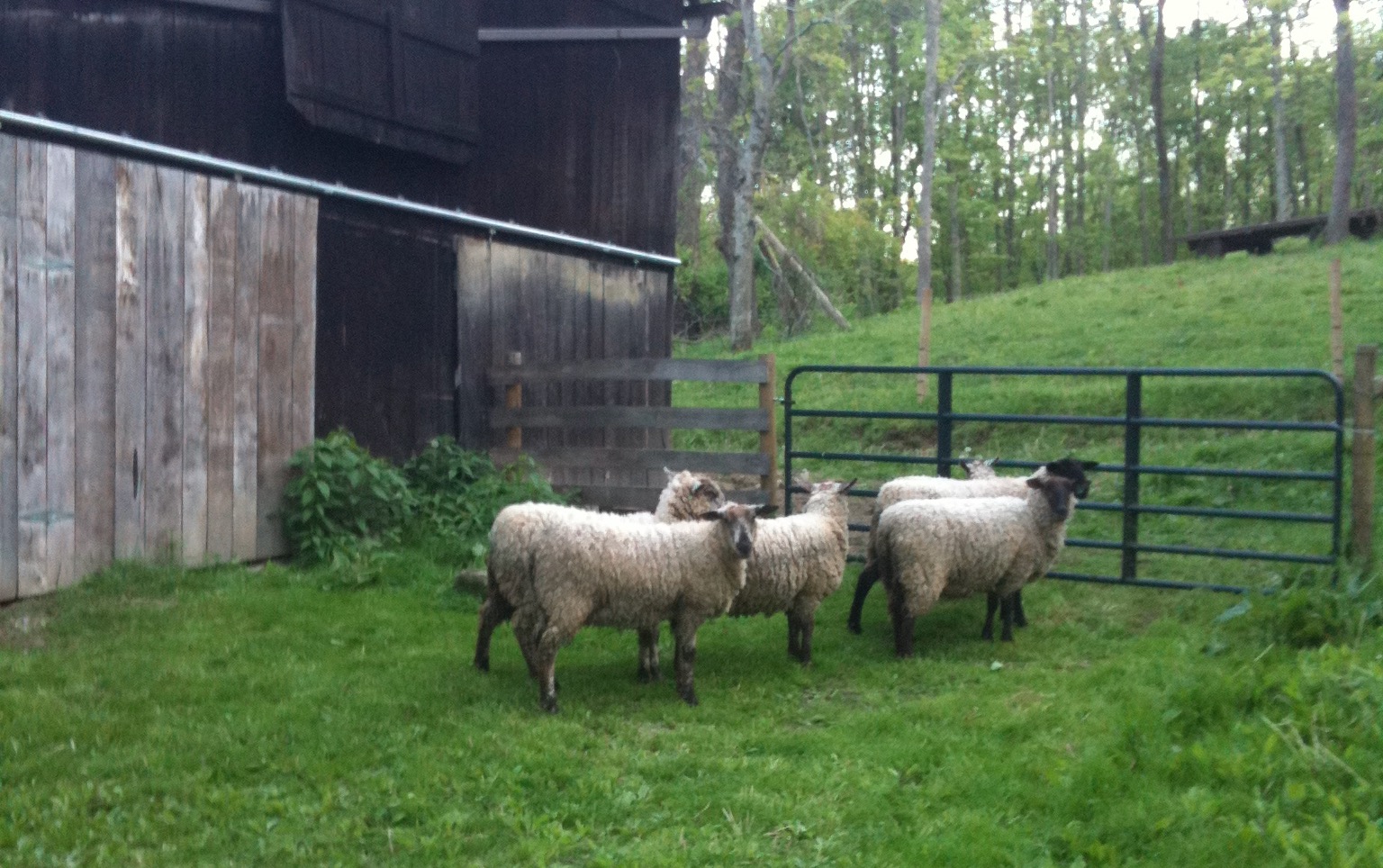 “Life From Our Land” Revisited