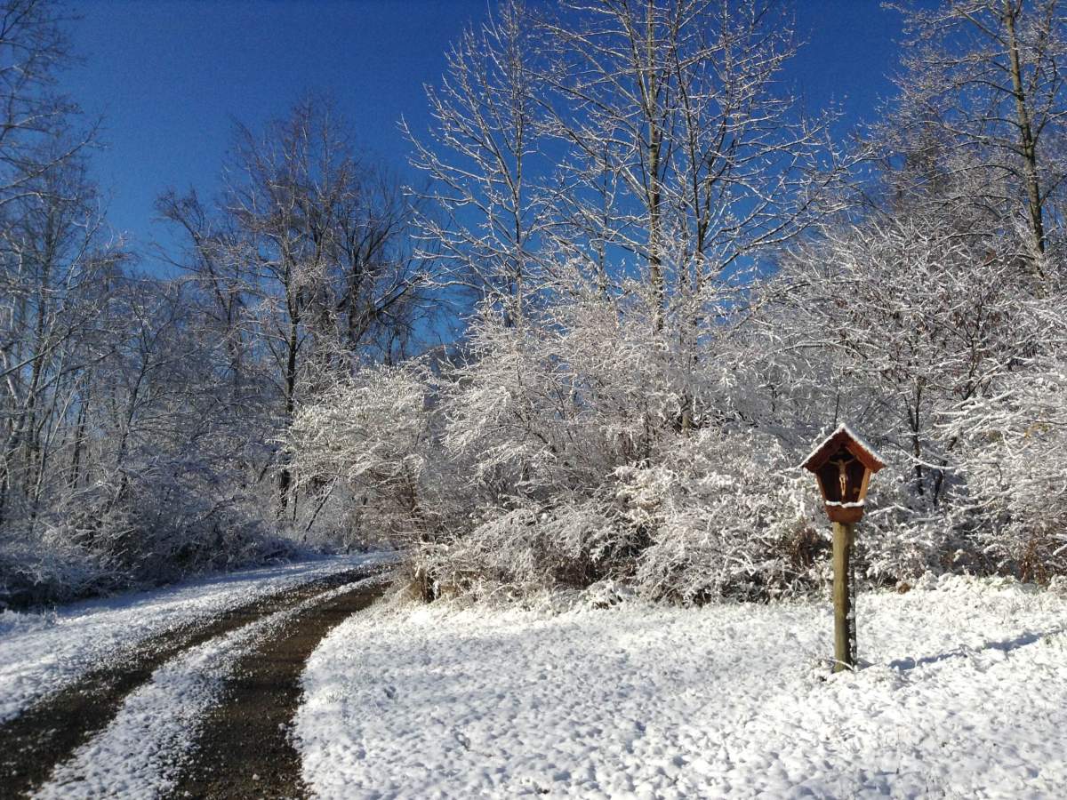 Count It All&nbsp;Joy