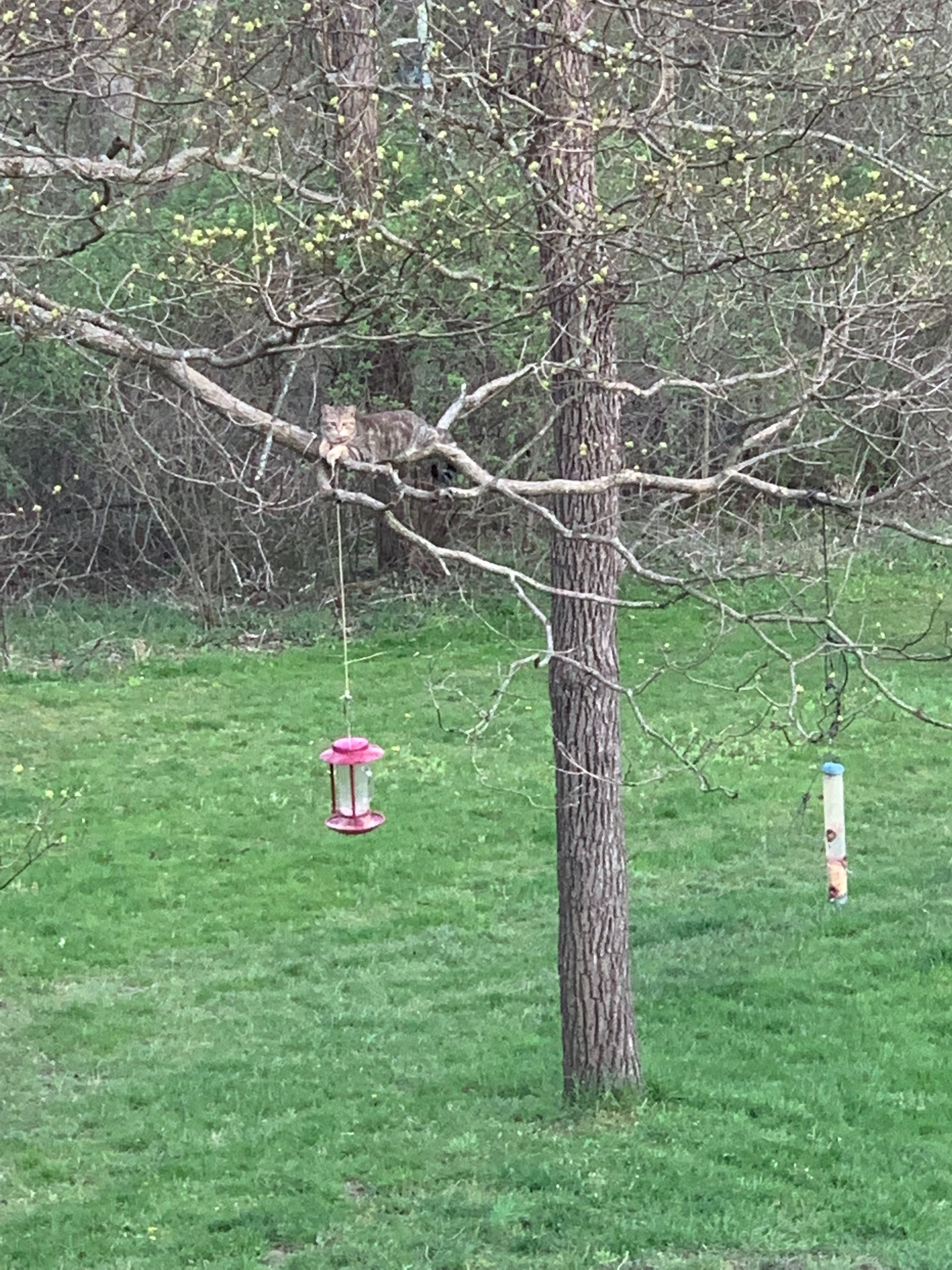 His communication is true, because it is inspired by love.