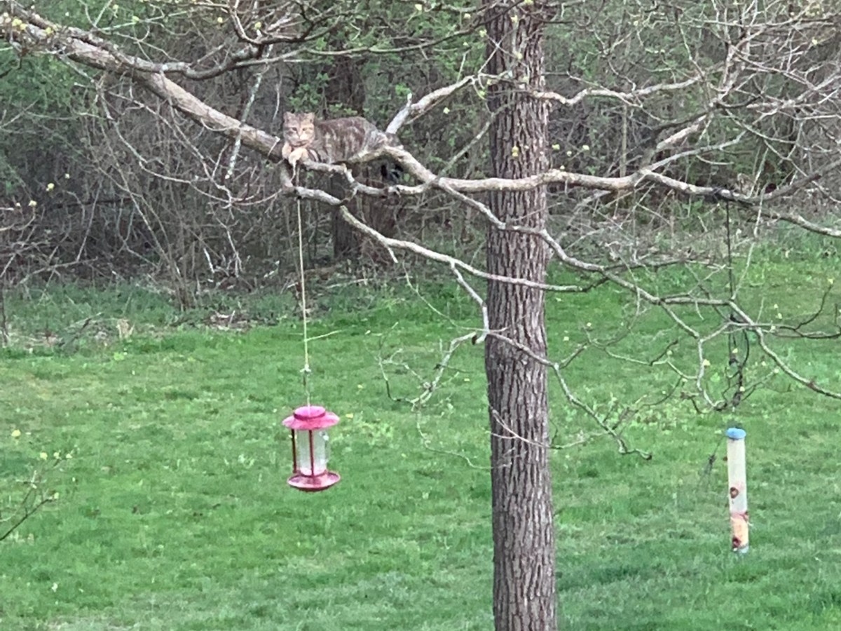 His communication is true, because it is inspired by&nbsp;love.