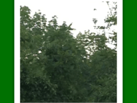 The Face of&nbsp;Jesus?