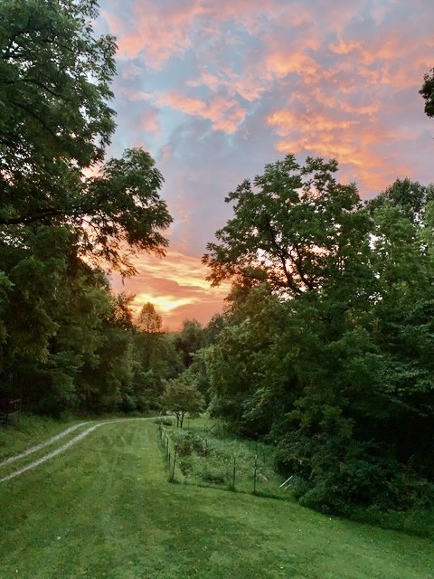 Learning Contentment