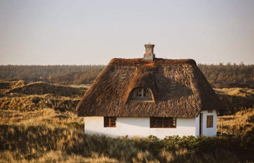 house with thatched rooftop